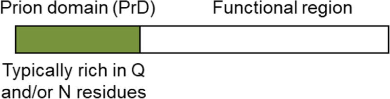 Figure 24