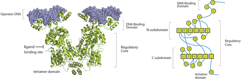 Figure 16