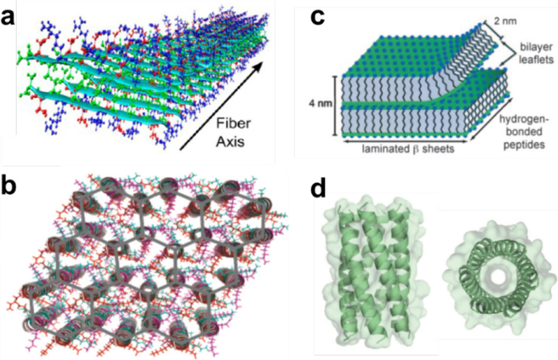 Figure 10