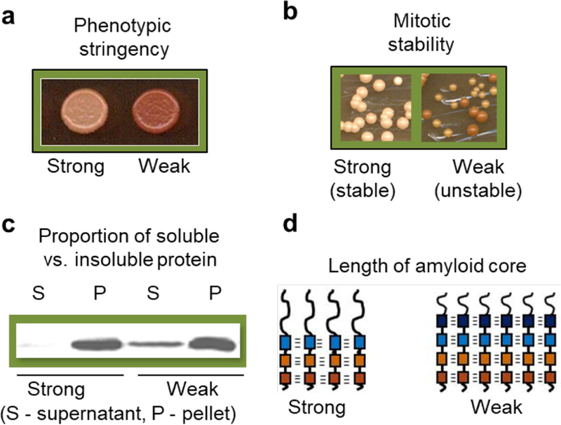 Figure 28