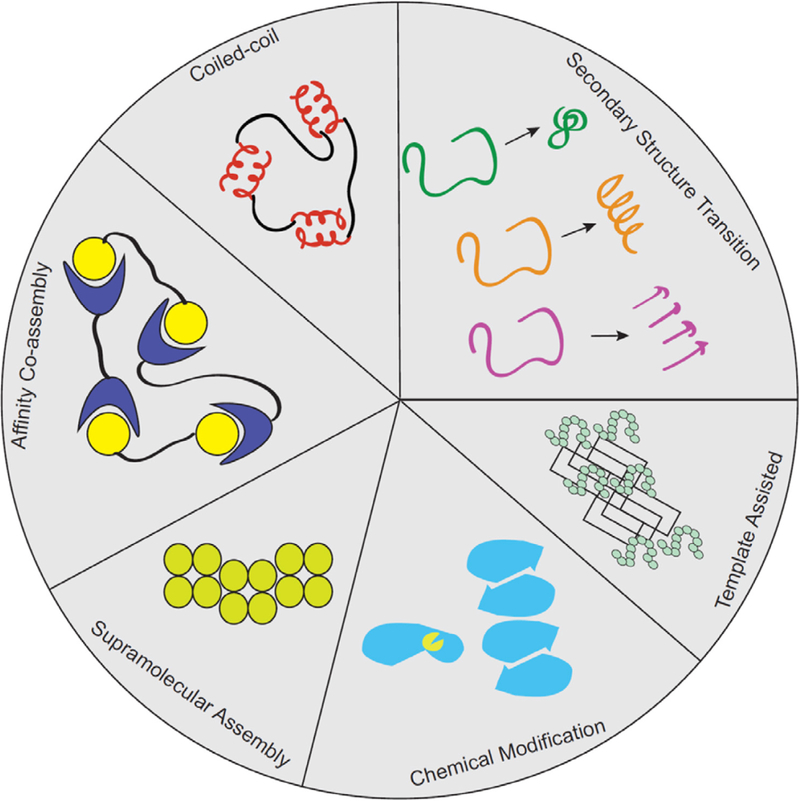 Figure 21