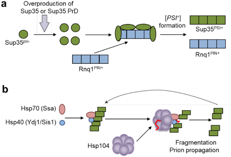 Figure 25