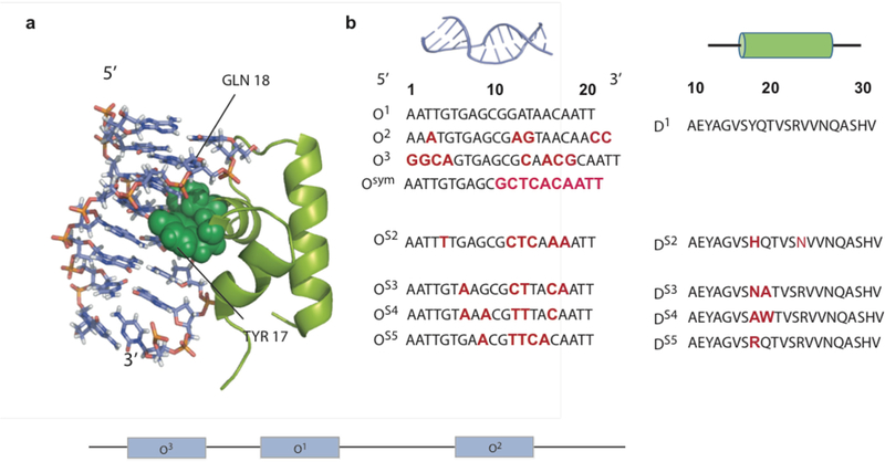 Figure 17