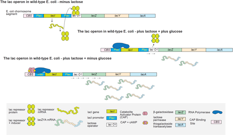 Figure 15