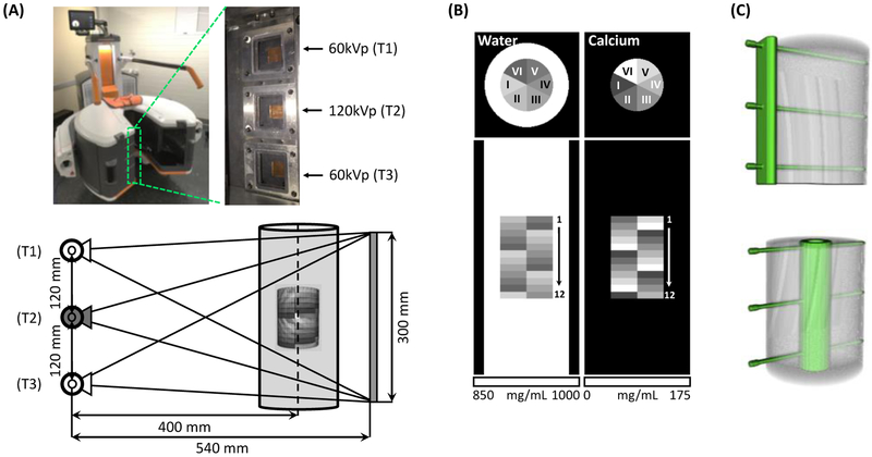 Fig.1.