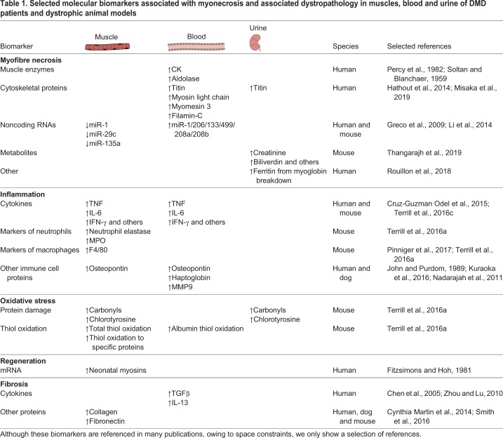 graphic file with name dmm-13-043638-i1.jpg