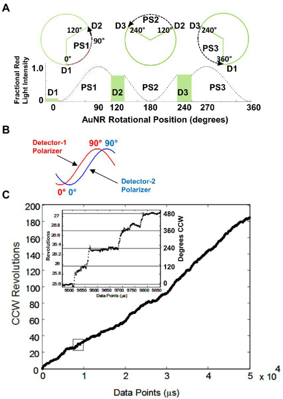 Figure 7