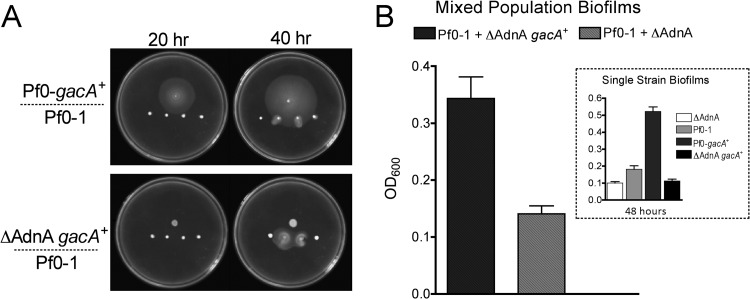 Fig 4