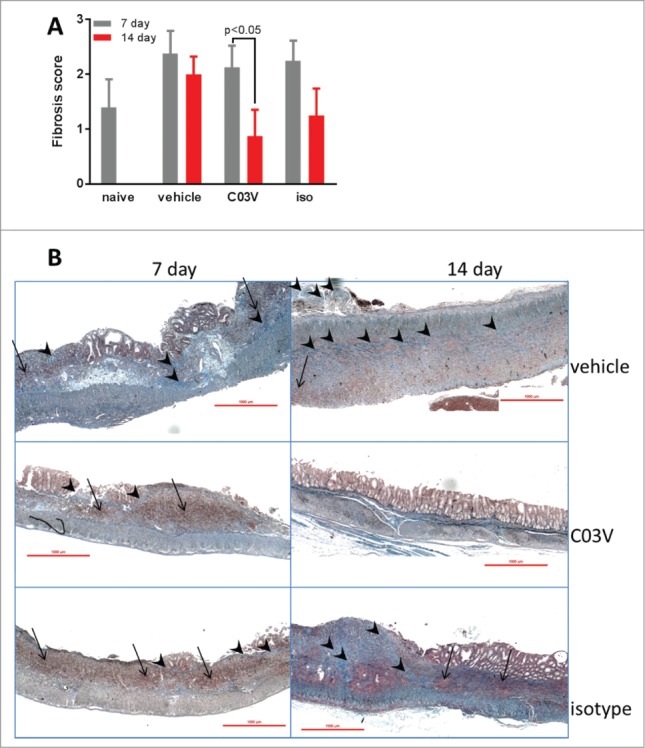 Figure 10.