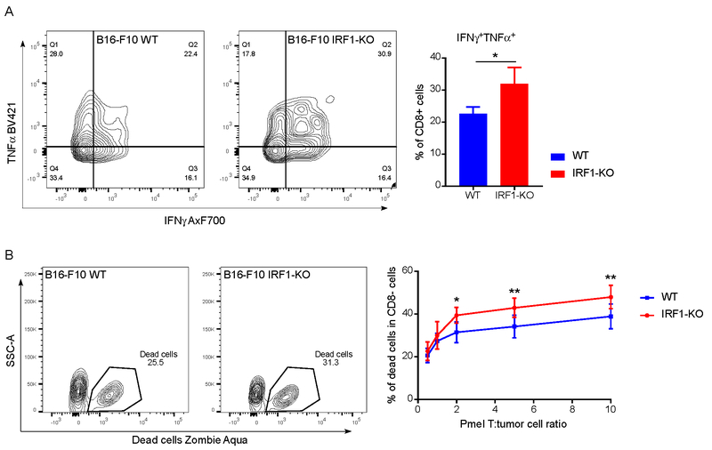 Fig. 5: