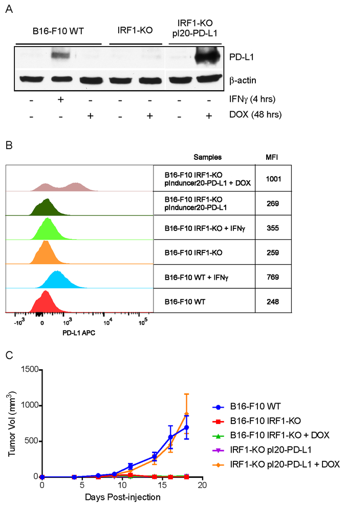 Fig. 6: