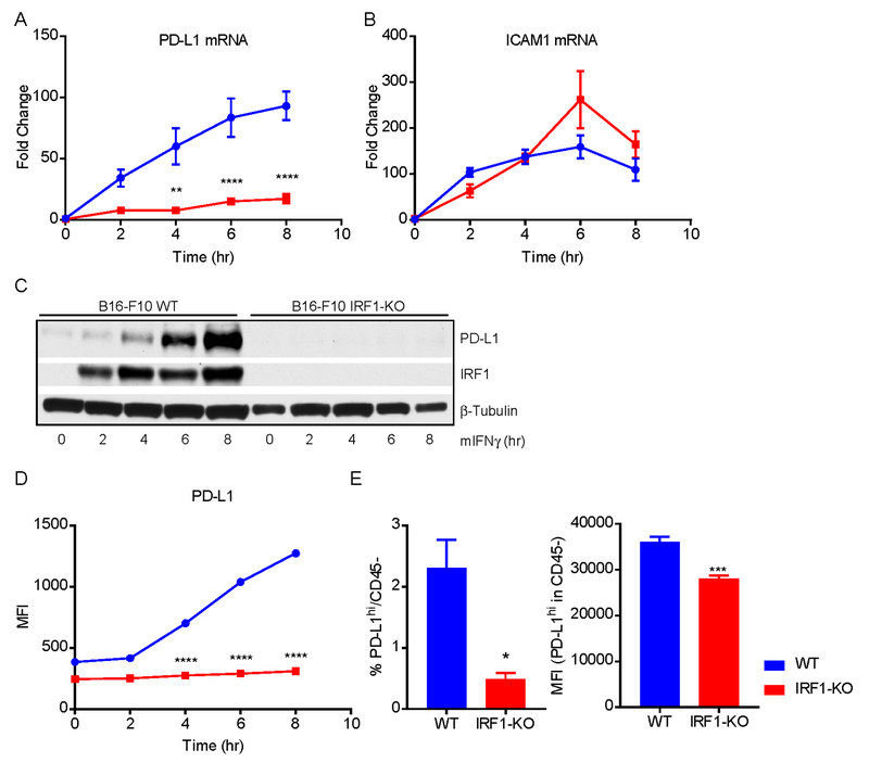 Fig. 4: