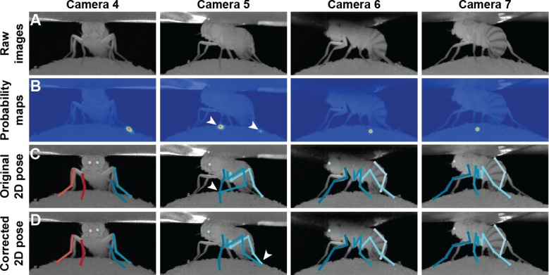 Figure 10.