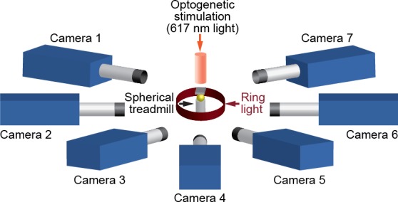 Figure 13.