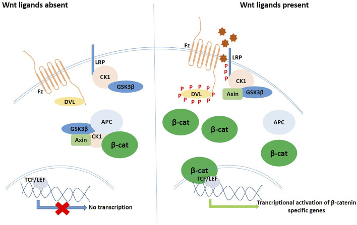 FIGURE 2