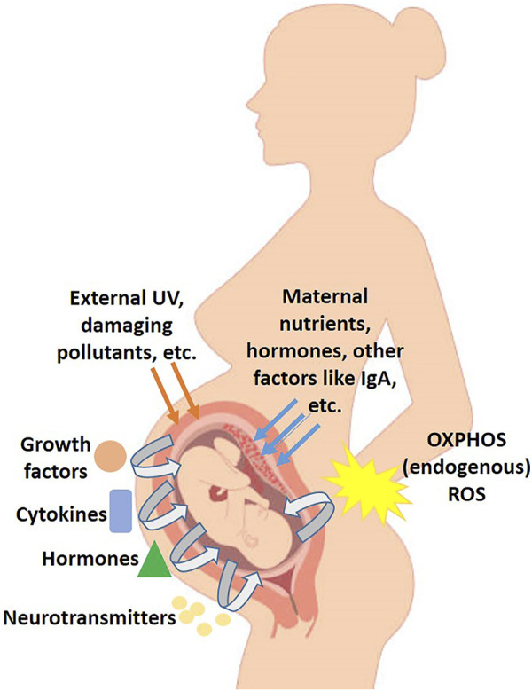 FIGURE 1