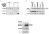 Extended Data Figure 5