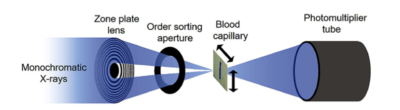 Fig. 1