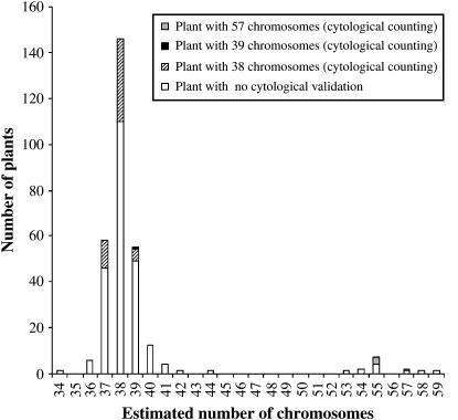 Figure 2.—