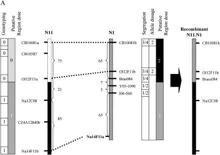 Figure 7.—