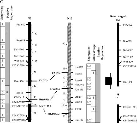 Figure 7.—