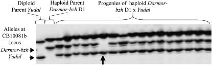 Figure 4.—