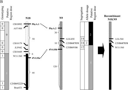 Figure 7.—