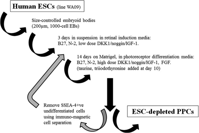 FIG. 7.