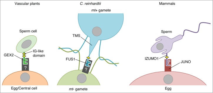 Figure 4.