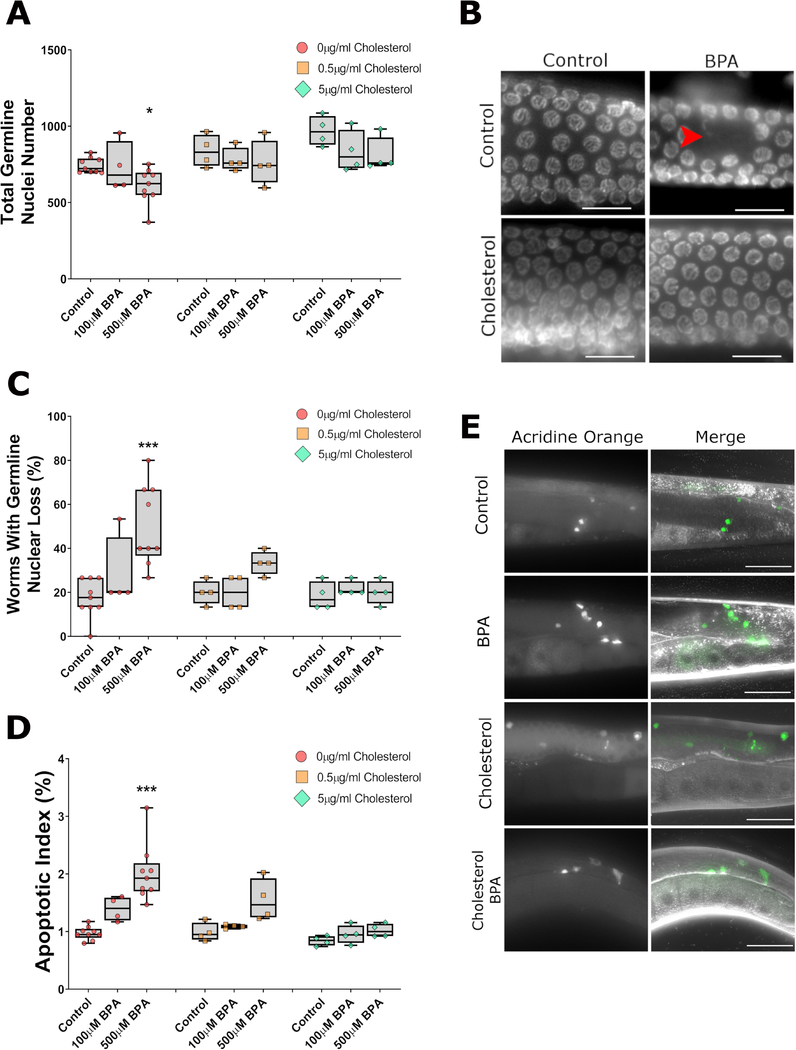 Figure 2: