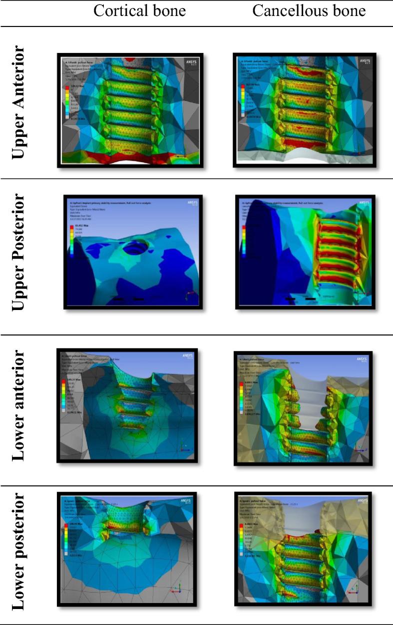 Fig. 6