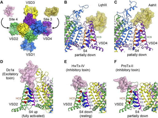 FIGURE 4