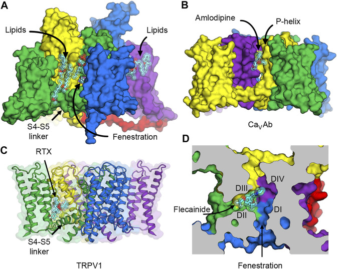 FIGURE 6