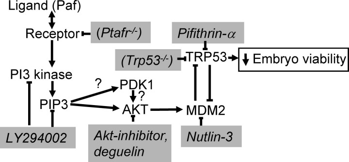 FIG. 5.