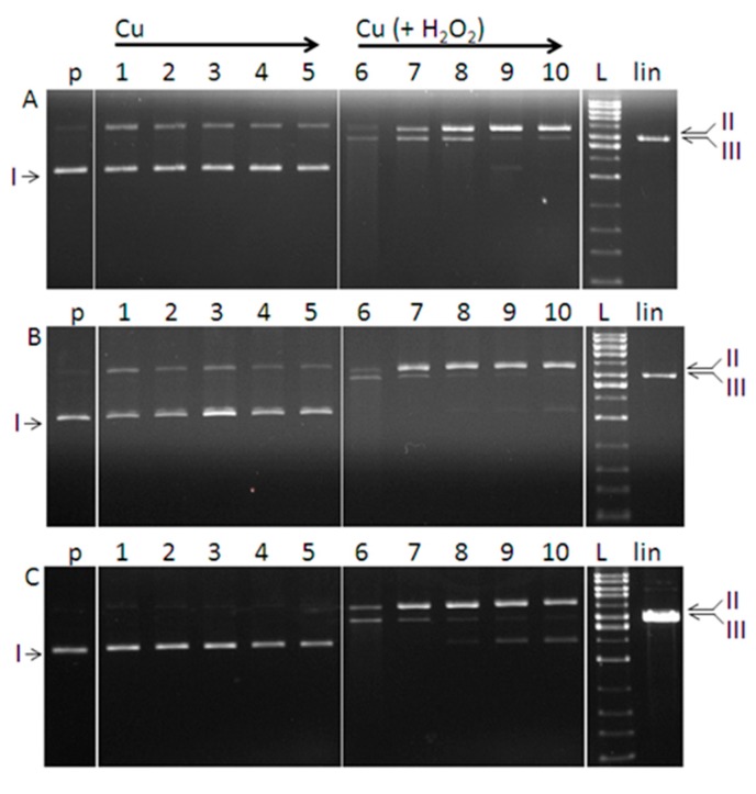 Figure 11