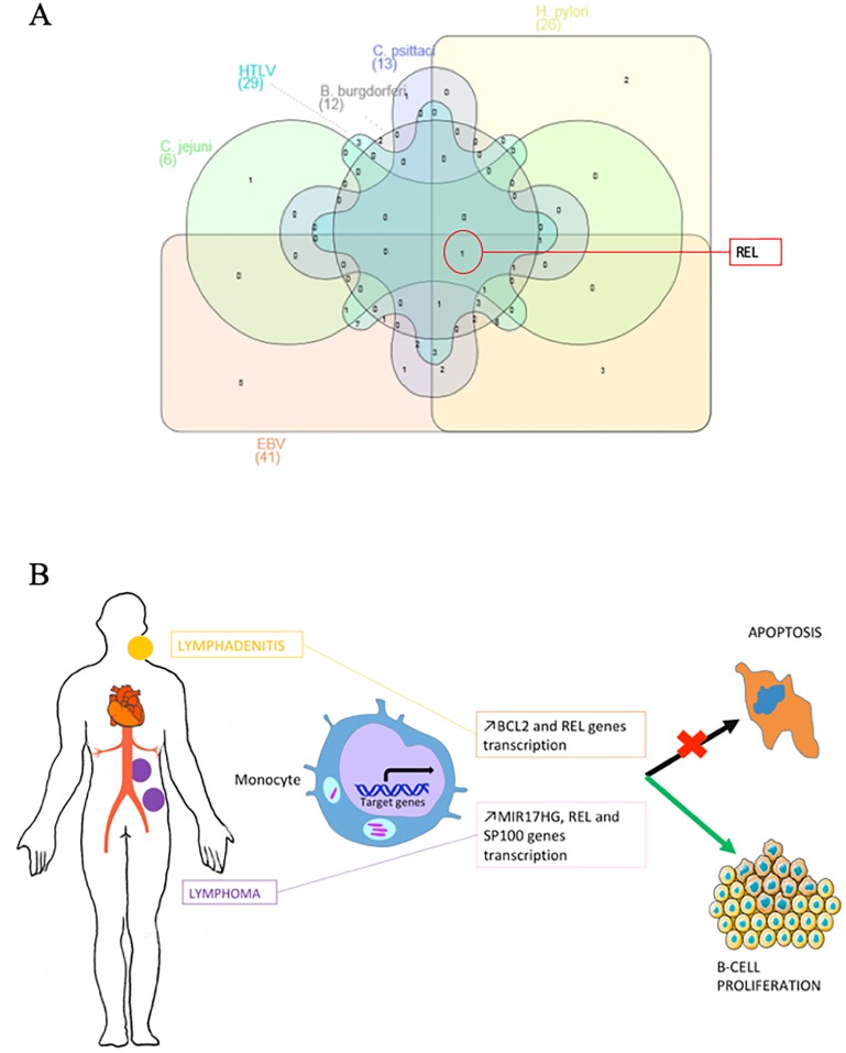 Fig 4