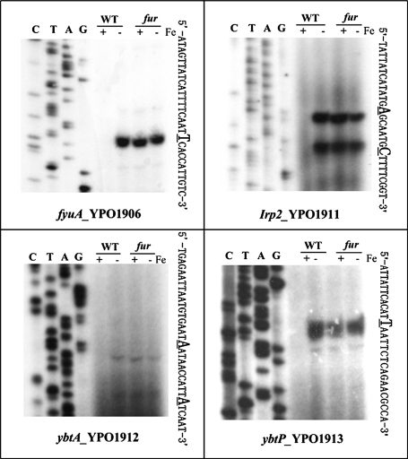 FIG. 3.