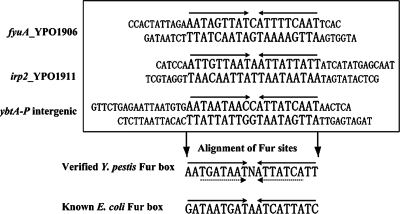 FIG. 6.