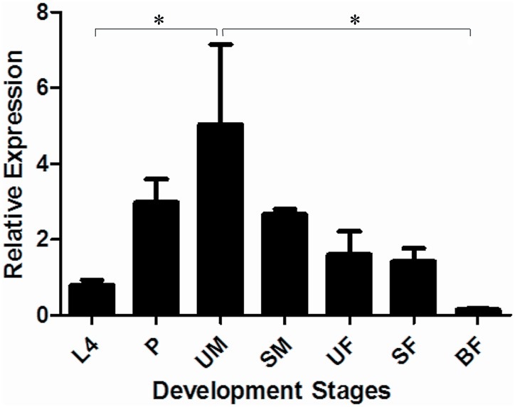 Figure 6