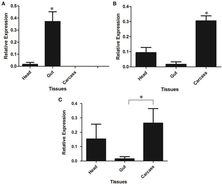 Figure 7