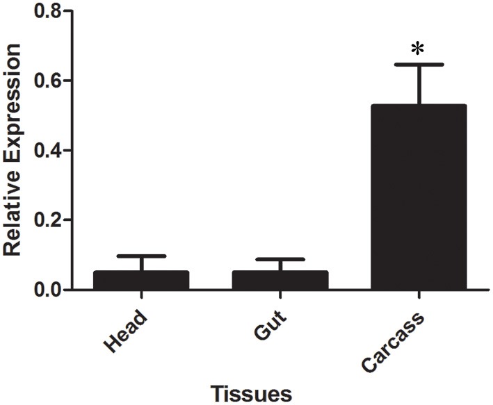 Figure 9