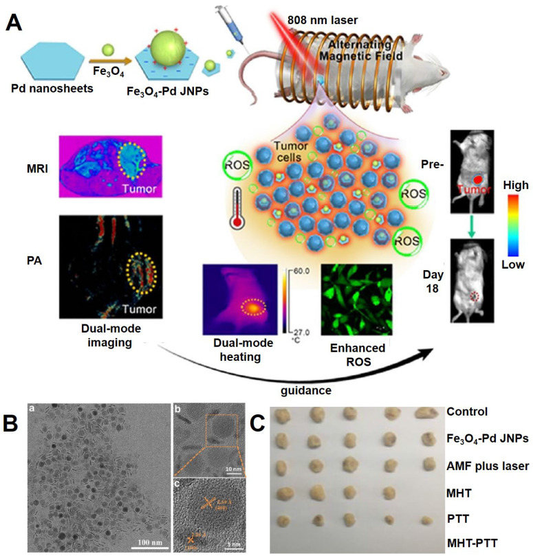 Figure 15