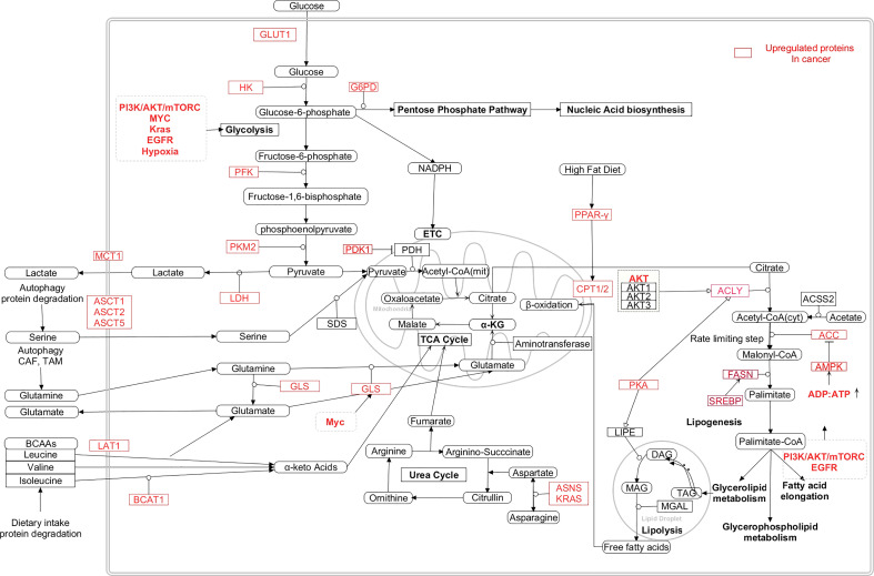 Figure 5