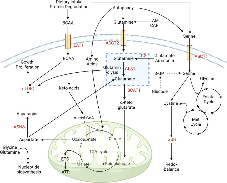 Figure 3