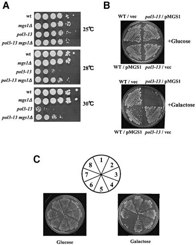 graphic file with name cdf192f7.jpg