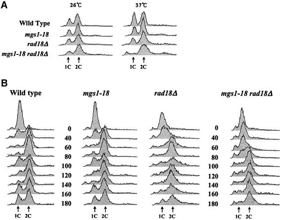 graphic file with name cdf192f4.jpg