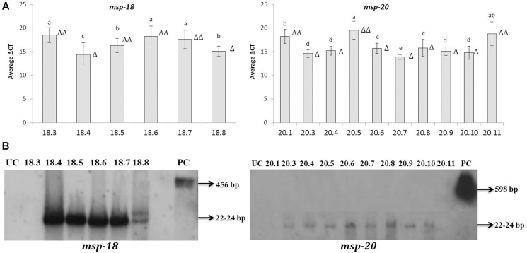 FIGURE 3