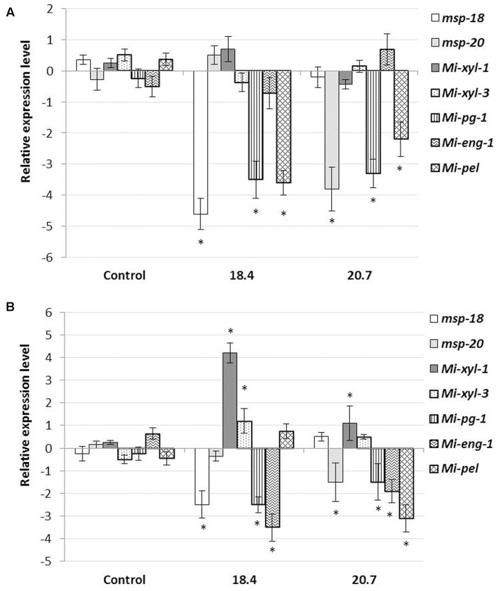 FIGURE 6