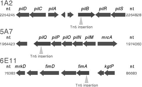 FIG. 6.