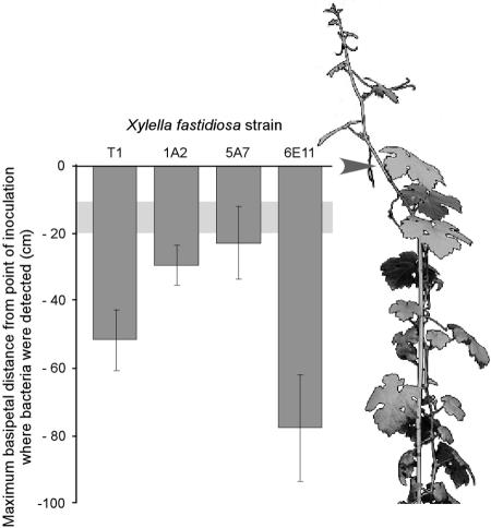 FIG. 9.